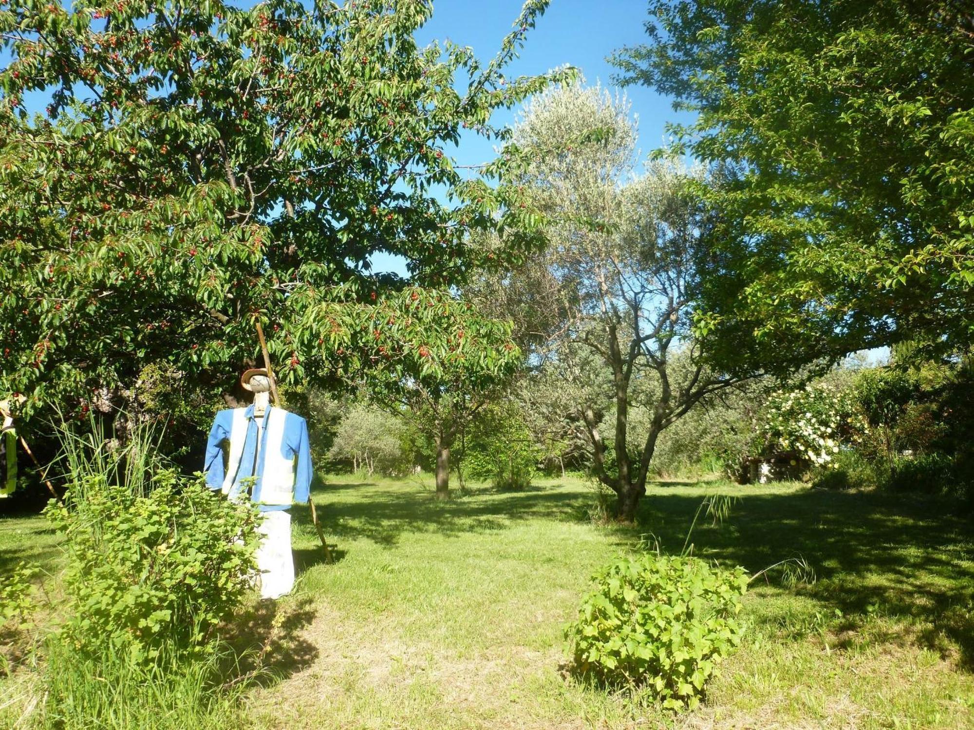 مبيت وإفطار Saint-Étienne-les-Orgues Campagne De Pre Grand المظهر الخارجي الصورة